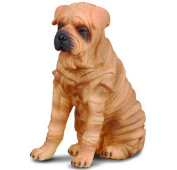 COLLECTA pies Shar Pei 88193 – figurka kolekcjonerska dla dzieci