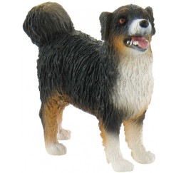Bullyland 62603 pies Australian Shepherd – figurka kolekcjonerska