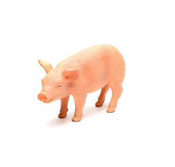 ANIMAL PLANET prosię 387055 – figurka kolekcjonerska Mojo