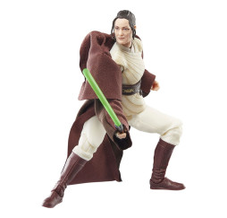 Hasbro Star Wars Black Series The Acolyte Jedi Master Indara
