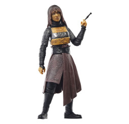 Hasbro Star Wars Black Series The Acolyte Mae Assassin