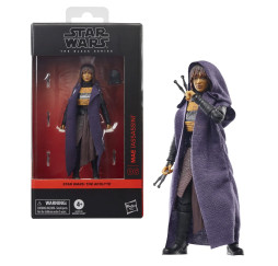 Hasbro Star Wars Black Series The Acolyte Mae Assassin