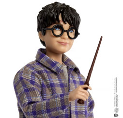 Wizarding Harry Potter i Ron Weasley w pociągu